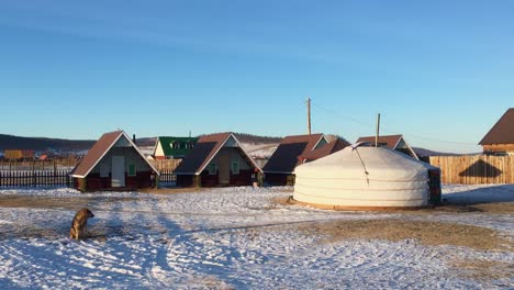 dog barking beside ger and tiny houses in nomadic mongolian town of khatgal