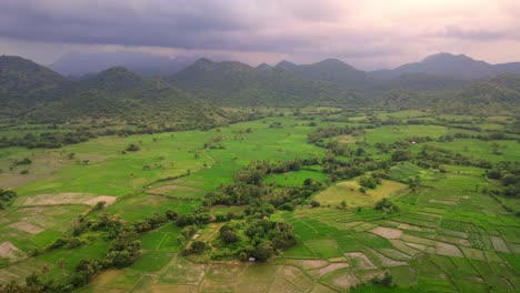 cinematic drone shot of agriculture land with mountain range at the background