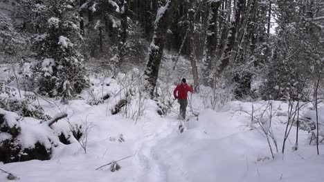 hombre con raquetas de nieve en un bosque