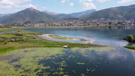 paisaje natural y nenúfares en el lago plav, montenegro - antena