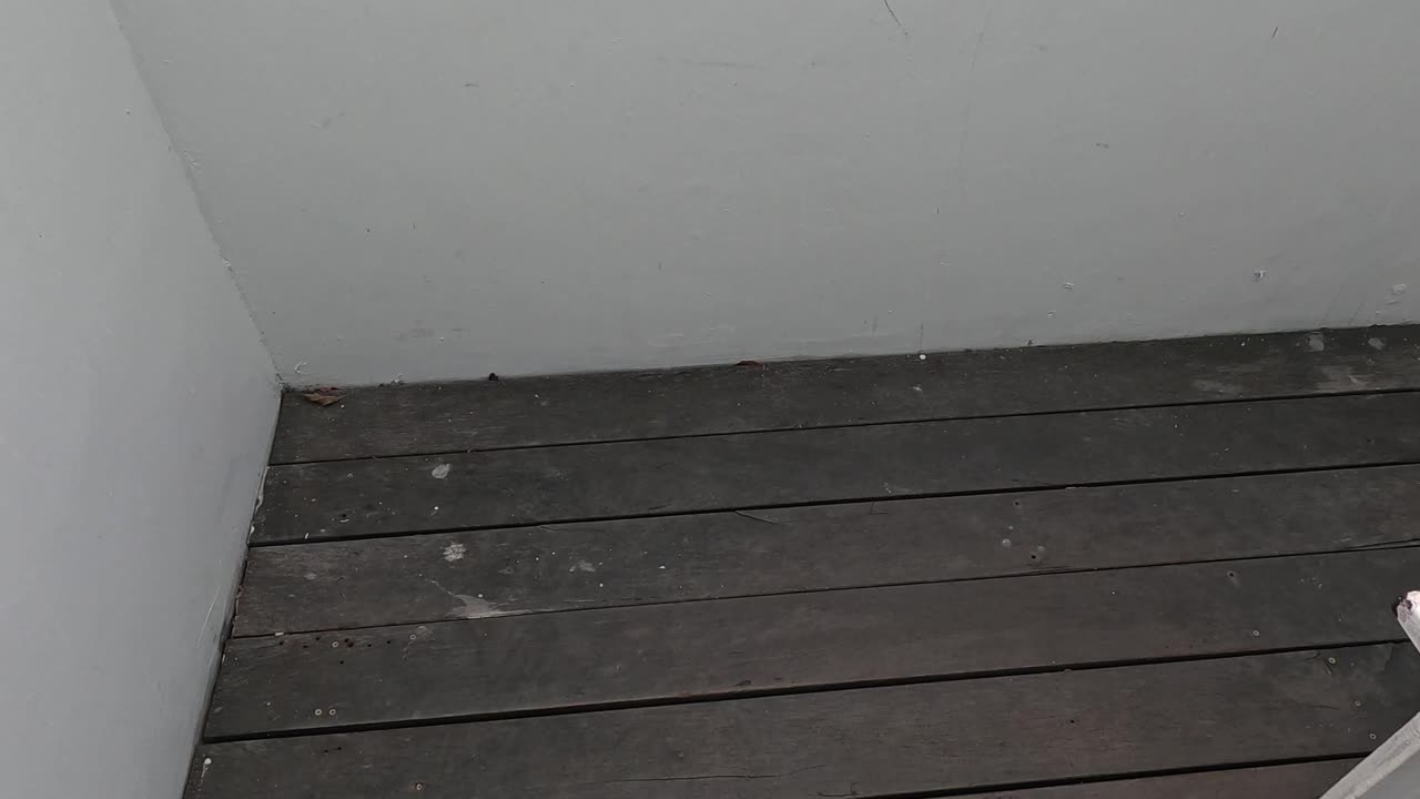 계단을 내려가는 사람의 관점