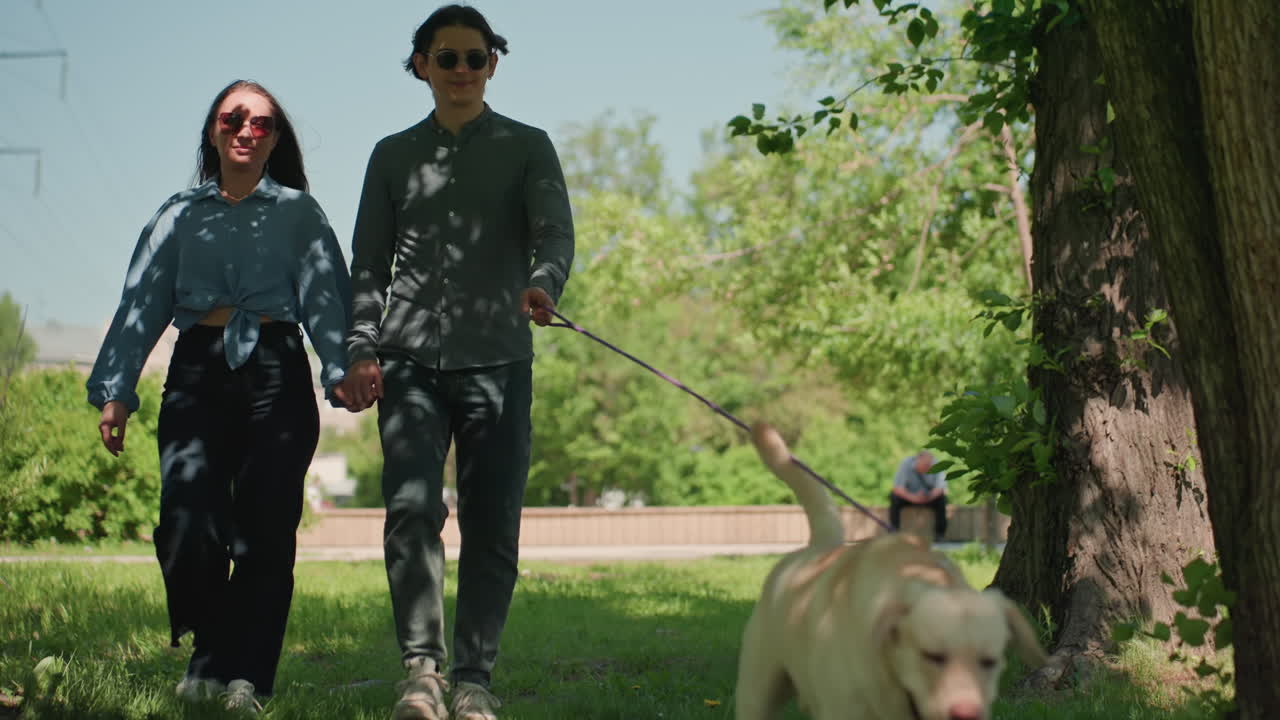 Una pareja serena disfruta de un paseo a la sombra en el parque; una pareja tranquila vaga bajo un dosel de luces y sombras moteadas; una pareja calmada y apacible recorre el parque bajo las ramas que proyectan sombras estampadas.