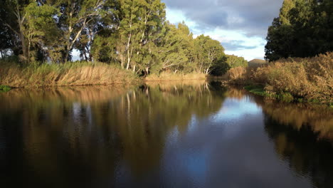 landscape, river and green with trees and nature