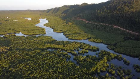 Road-amidst-green-hills-and-Winding-River-snaking-its-way-through-vast-mangrove-forest-swamps-and-palm-trees-jungle-in-a-tropical-scenery-seen-at-sunset-from-viewpoint-on-Siargao-Island,-Philippines