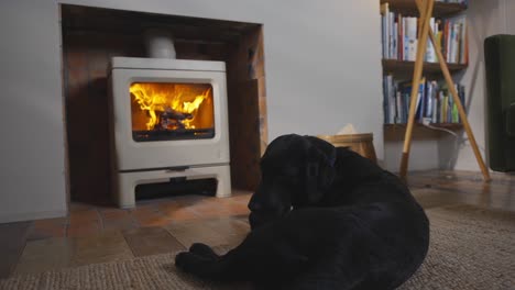 perro negro acostado frente a la estufa encendida