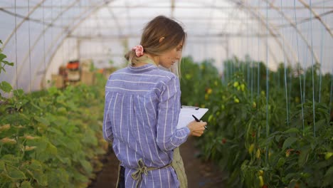 Young-woman-farmer-in-indoor-greenhouse,-accounting-using-tablet,-rear-view