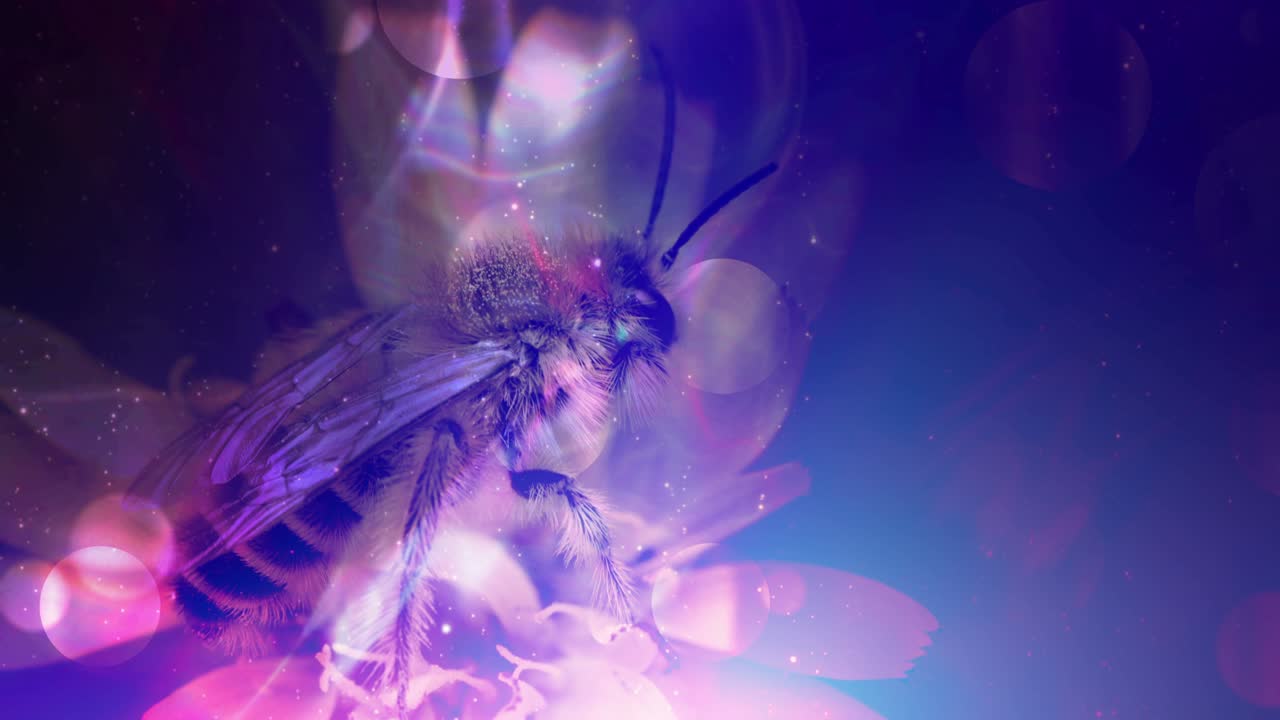 diseño floral brillante y colorido