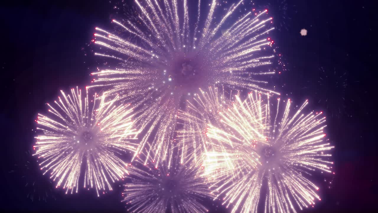 黄金の白いエピックの花火の構成 星空の夜のループの背景で