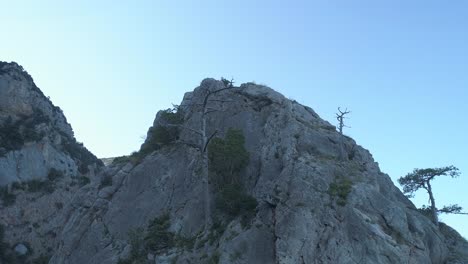 mountain scenery with trees