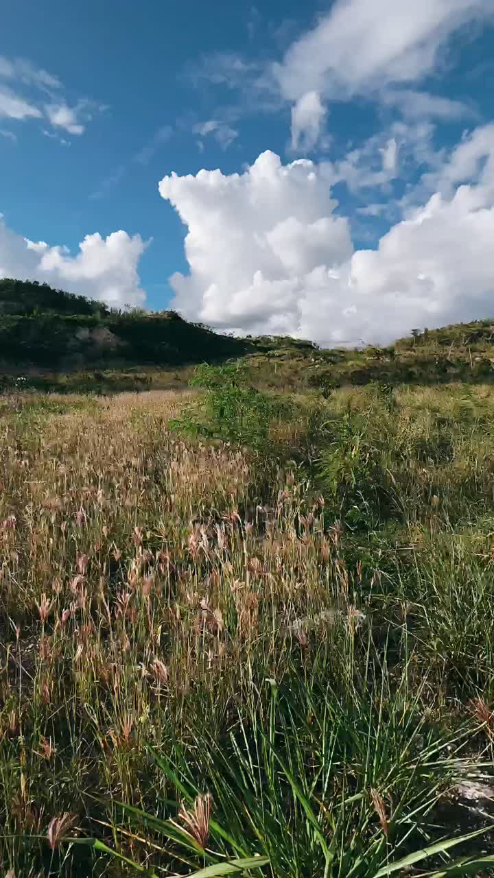 paisaje panorámico de campo bajo un cielo nublado