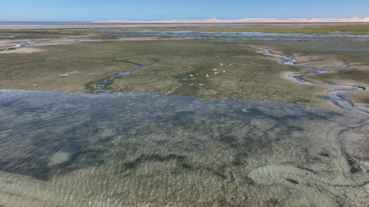 Drone aerial view of coastal tidal flats near Dakhla, revealing shallow waters, natural tidal channels, and expansive wetland landscapes along Morocco's Atlantic coastline.