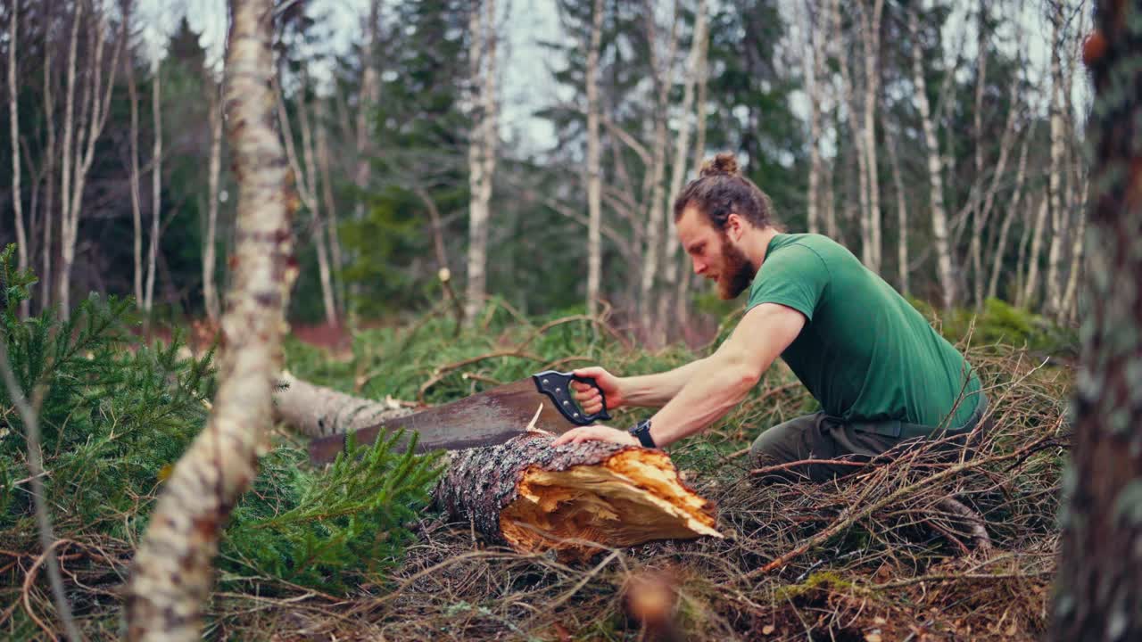 Man Sawing Tree Trunk In The Forest - Wide Shot