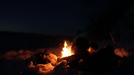 bonfire burning on campground at night. close up