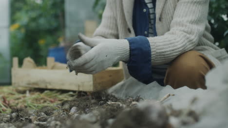 person harvesting crops in a garden or greenhouse