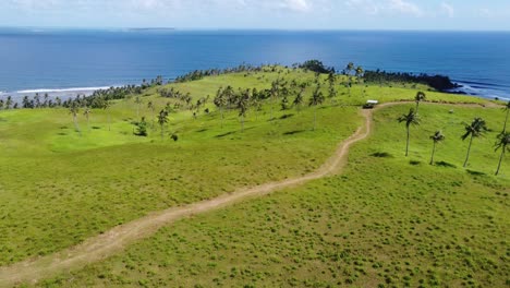 Trail-winding-through-scattered-palms-on-green-hills-of-Casolian-island,-Aerial