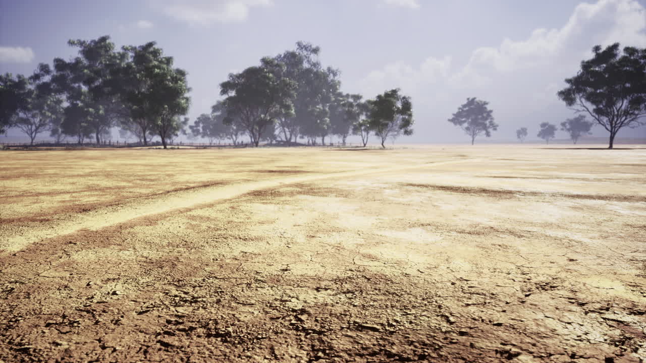 Dry landscape with sparse trees under a cloudy sky on a warm afternoon