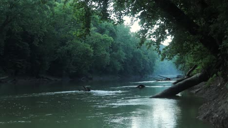 river canal in the tropics