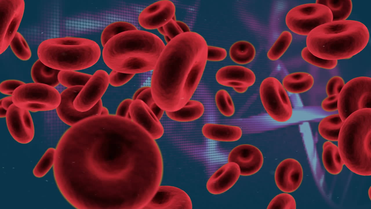 glóbulos rojos y doble hélice de adn