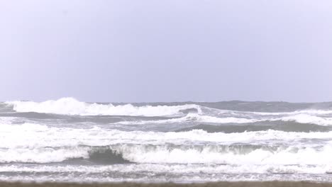 serie of shots windy winter holliday in the netherlands on the dutch beach island terschelling