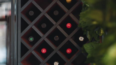 close up of artificial decorative plant with vibrant green leaves in focus, positioned beside wine shelf filled with wine bottles in background