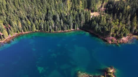 Vista-Aérea-Orbital-Del-Estanque-Gold-Creek-Con-Agua-Azul-Clara-Y-Bosque-Siempre-Verde-En-El-Estado-De-Washington.