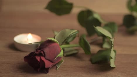 tea light candle with red rose for romantic evening