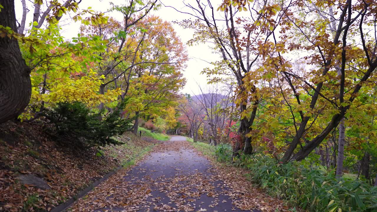 Pemandangan terbaik di Otaru