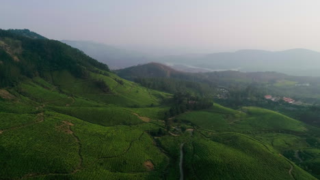 drone shot of munnar tea plantations