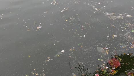 various pieces of trash and debris float on a calm water surface, highlighting pollution issues.