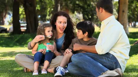 Familie-Genießt-Blasen,-Die-Auf-Dem-Gras-Sitzen