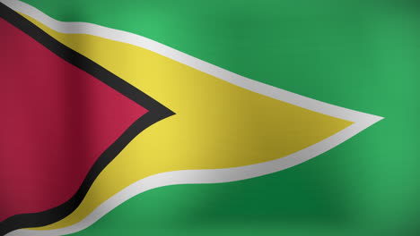 animation of waving flag of guyana