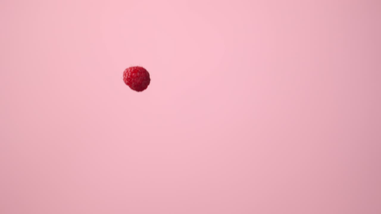 블랙베리 와 라즈베리 가 분홍색 바탕 에 떨어지는 것