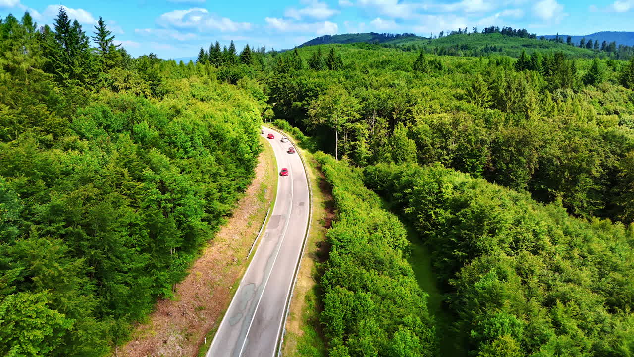 Winding road through lush green forest. Two cars drive along a winding road surrounded by vibrant green trees under a bright blue sky
