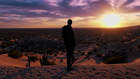 Person Silhouette on Desert Dune at Sunset