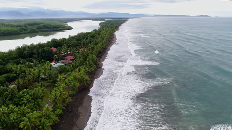 wide descending aerial of palm tree lined beach with reservoir behind, 4k