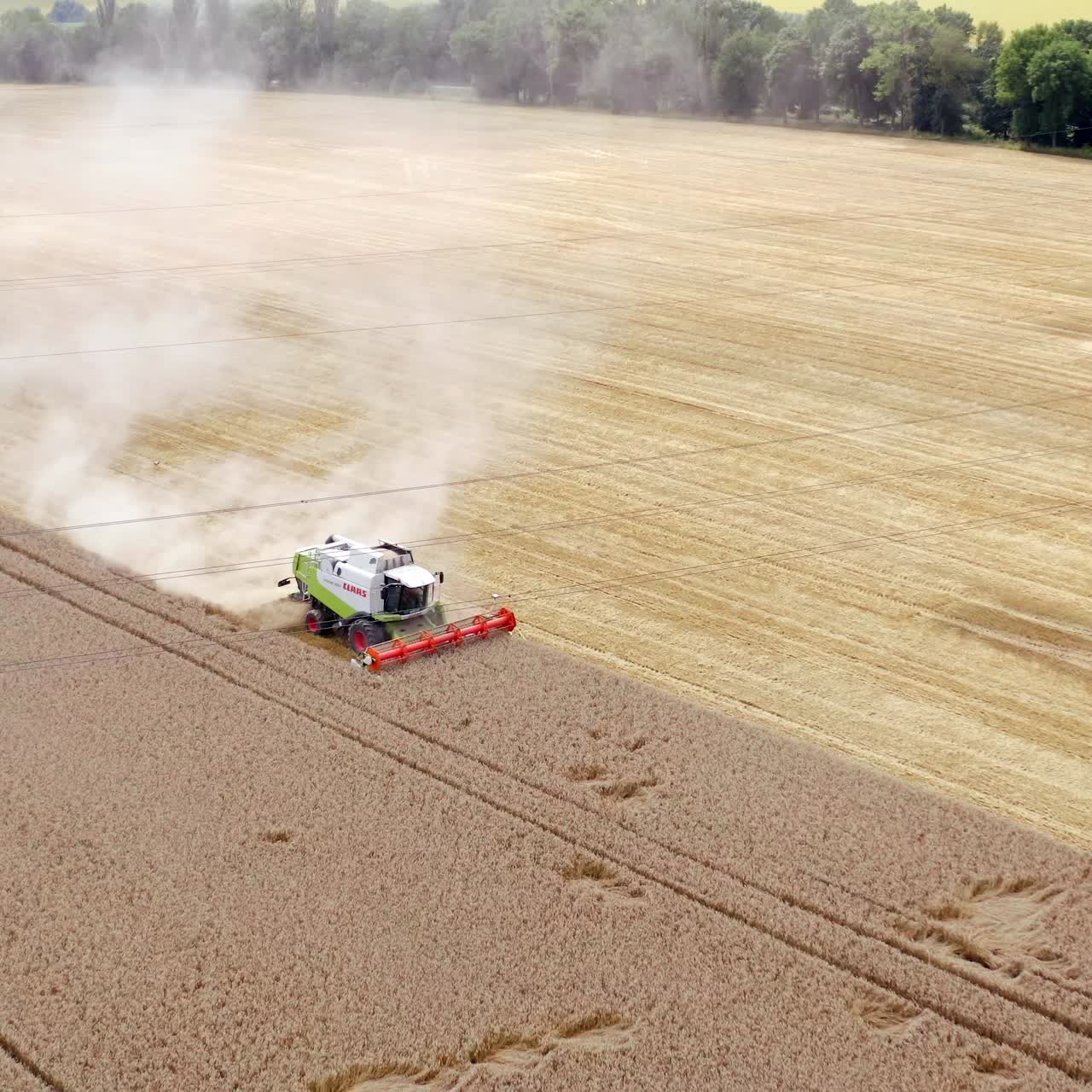 Aerial view of agricultural industry. Combine harvester agriculture machine harvesting golden ripe wheat field