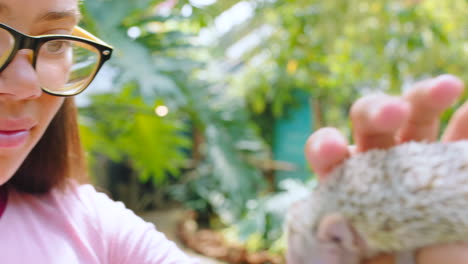 animals, nature and girl with hedgehog in hands