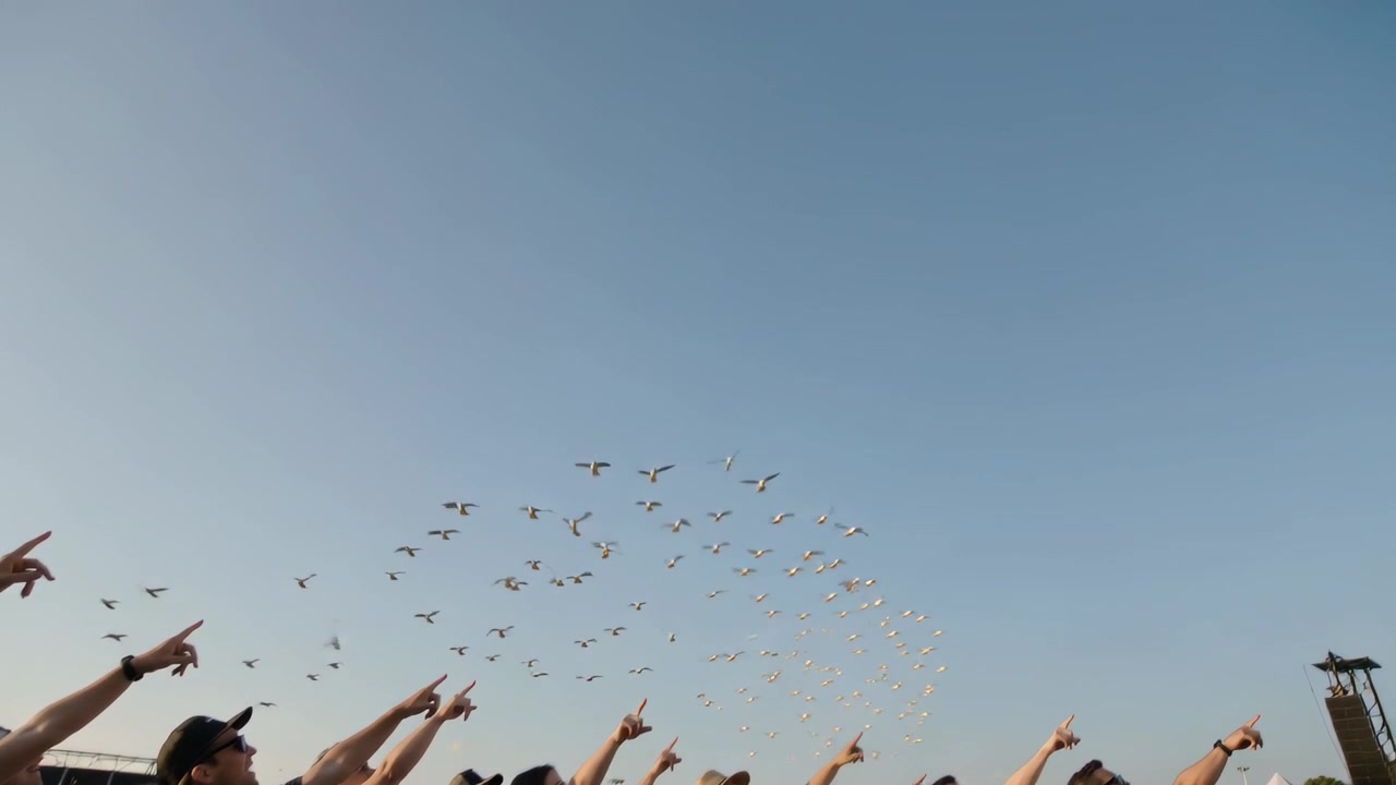 Pekande folkmassa följer en flock som dyker upp, bildar en V-form på en festival, vita fåglar flyger över huvudet.
