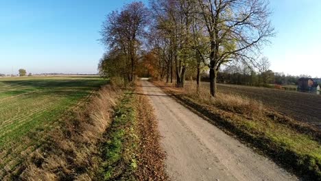 gravel road between trees without leaves. aerial footage-1