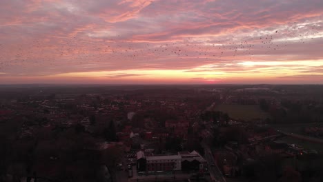 Drone-sunset-flight-with-groups-of-birds-in-migration