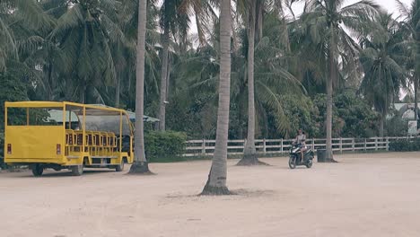 girl trains to ride motorbike against large palms on parking