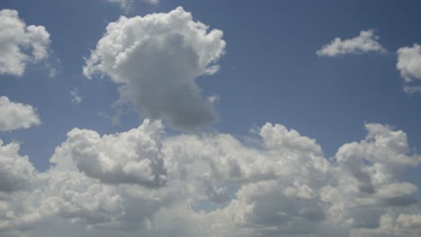 time lapse of cumulus clouds growing and moving in the afternoon