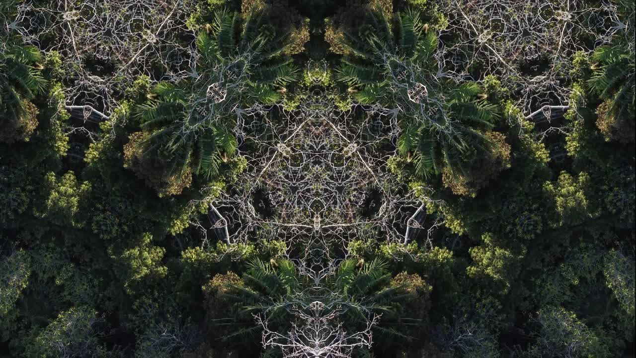 el triángulo caleidoscópico es una rama marrón en la jungla.