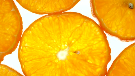 top view rotate of orange slice on white background, close up fresh orange sliced on white background and slowly rotating.