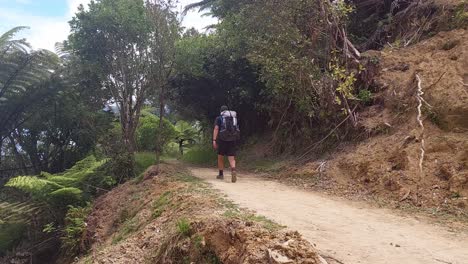 a hiker walking away from the camera on a dirt path in new zealand