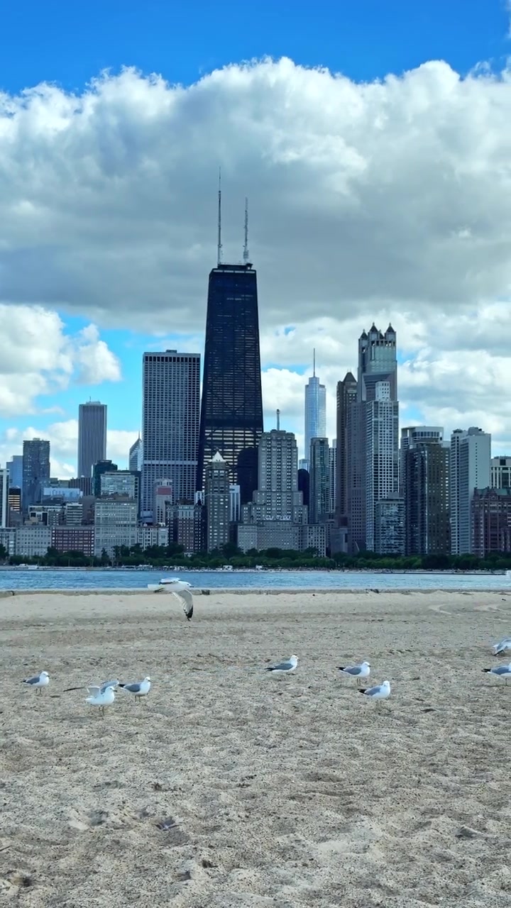 Vista dello skyline della città dalla spiaggia con gabbiani che volano vicino alla sabbia in una giornata limpida a Chicago, Illinois.