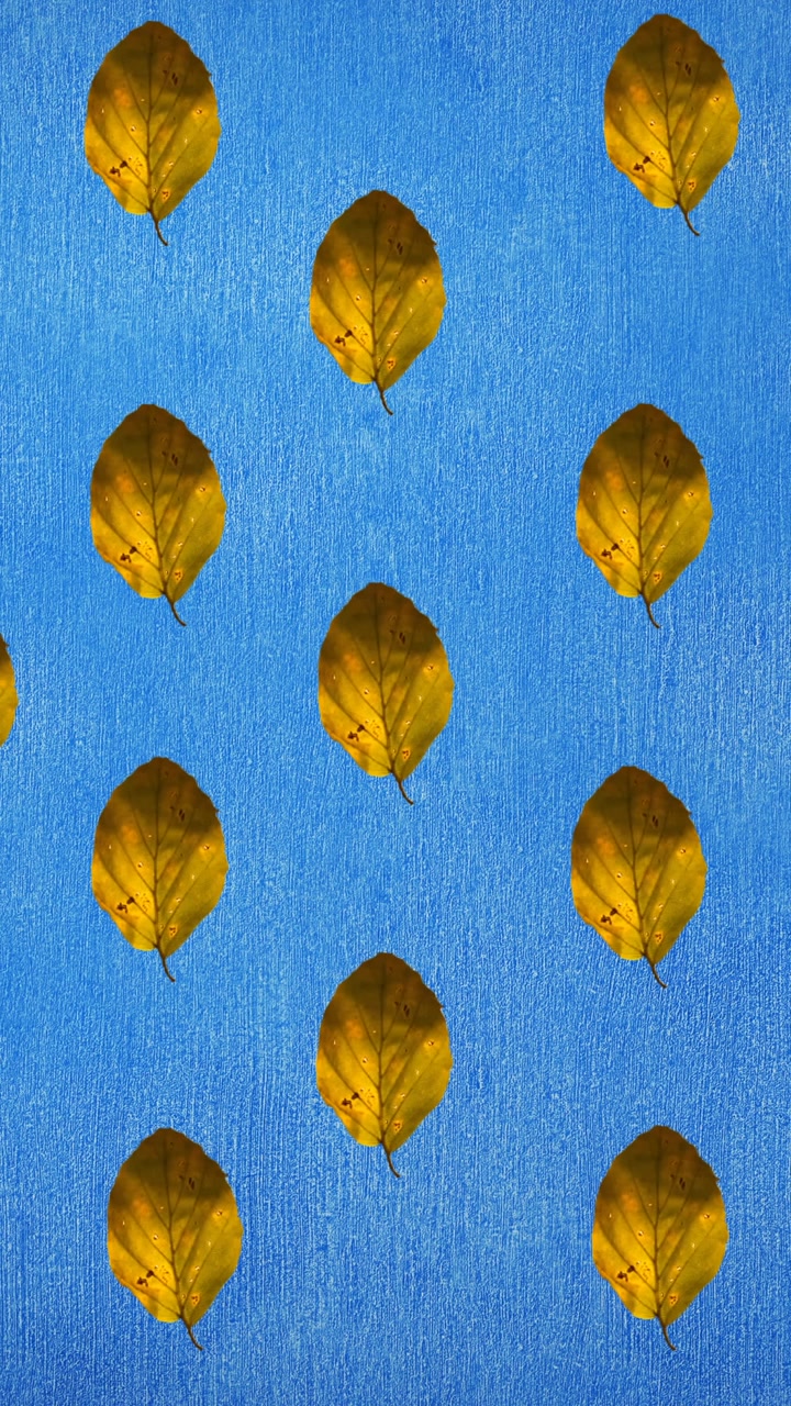Animation of rows of autumn yellow leaves on blue background