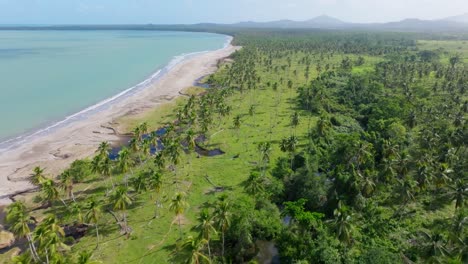 green meadow, palm trees, and river near the emerald bay beach during summer in miches, dominican republic