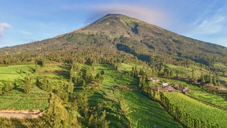 the slopes of mount sindoro with the tobacco plantations against a blue sky