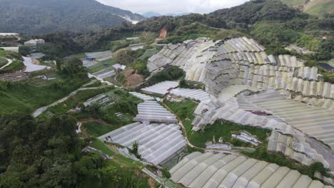 general landscape view of the brinchang district within the cameron highlands area of malaysia